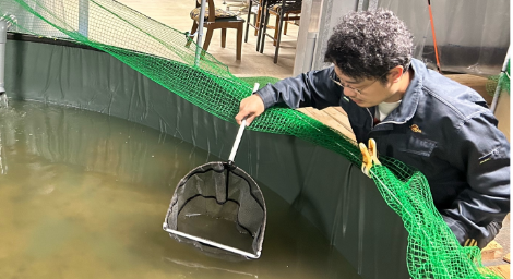 福井のヒラメ養殖生簀の水質管理　画像