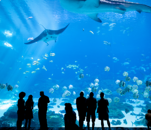 水族館