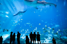 Aquarium,Water-treatment facility image