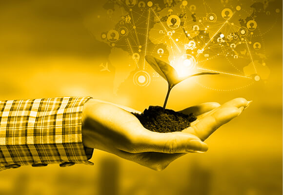 グロース型ラボ契約